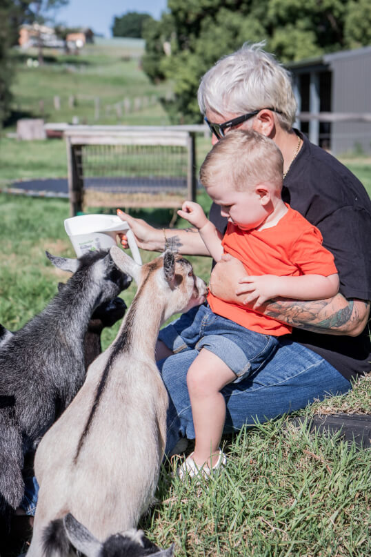 LaFamilia Pygmy Goats