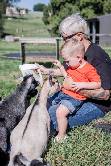 Gallery - LaFamilia Pygmy Goats